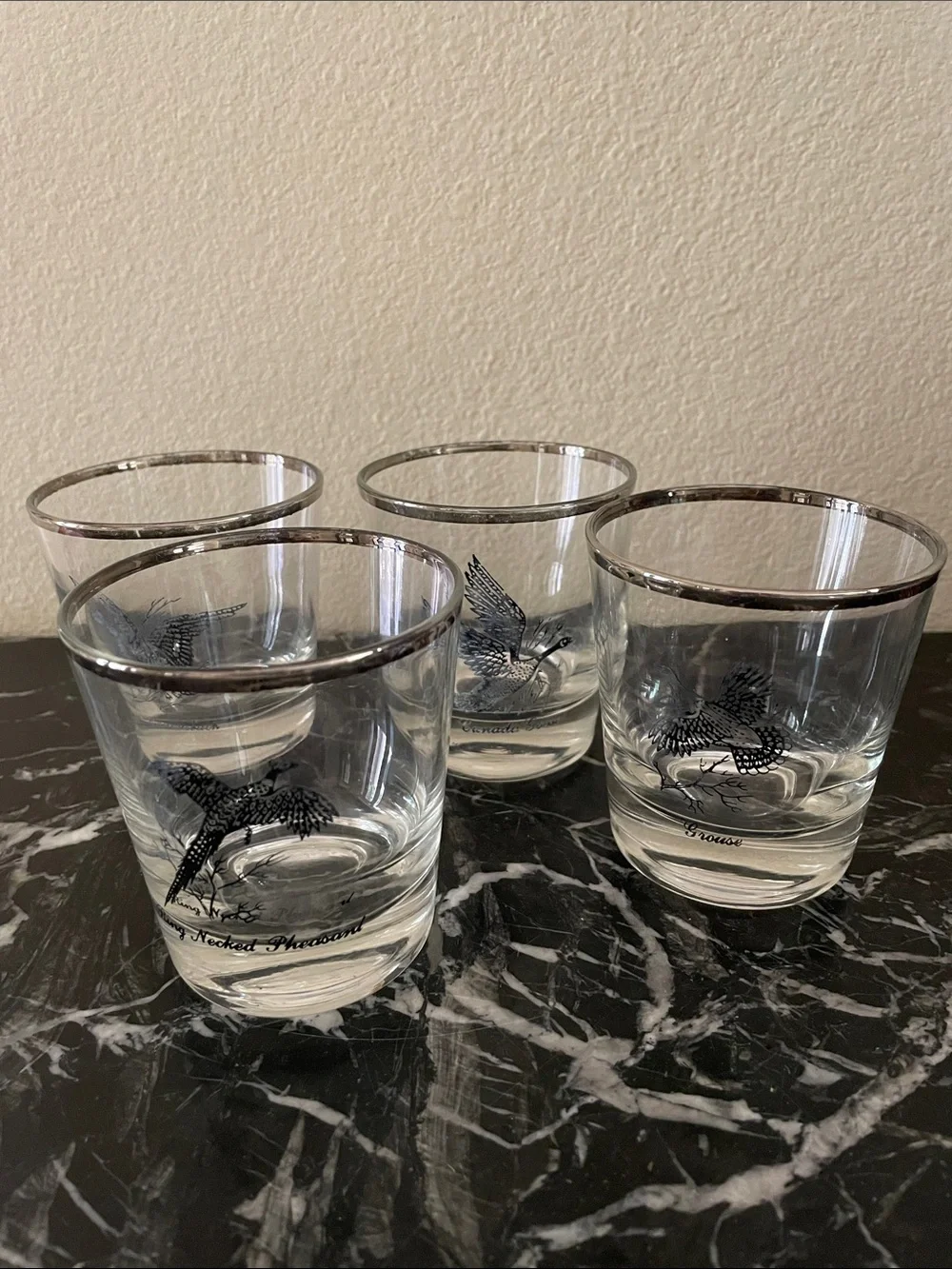 Silver-Rimmed Clear Glass Tumbler with Bird Motif - Set of 4